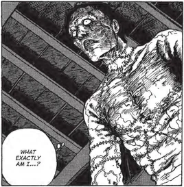 JunjiItoFrankensteinInfobox