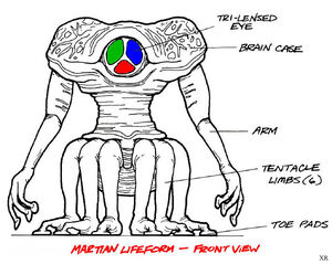 Martian anatomy.