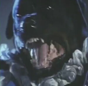 It in the form of a Rottweiler.