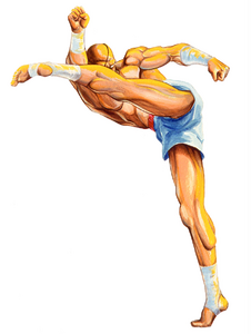 SFII Sagat