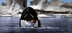 Orca roars in anger at Nolan during their final battle.