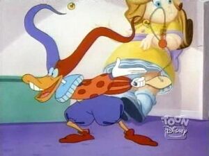 Quackerjack 15