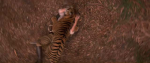 Wilkins being mauled to his death by Shere Khan.