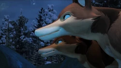 "I think it’s our lucky night, Widco!"