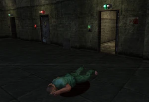 Screenshot (1006).png (1.85 MB) An inmate who jumped from the stairs to his death.