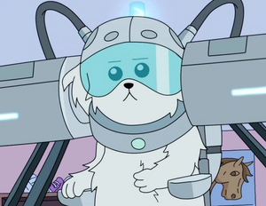 Snowball's profile.