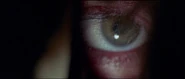 Lynch's eye peering through the hole in the door to get to Florakis