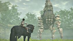 Phaedra, Wiki Shadow of the Colossus