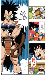 Raditz' Tail