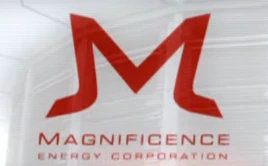Magnicorp