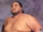 Yokozuna (WWE)