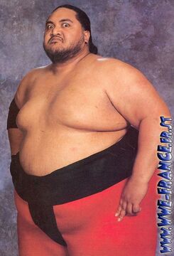 WWE ヨコヅナ 2024 WWE Ultimate Edition Legends Action Figure: YOKOZUNA