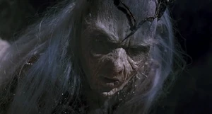 A 500 year old elderly Mirror Queen.