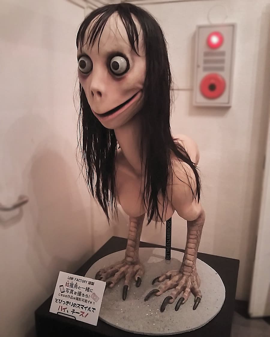 Momo x Jeff the killer, Wiki