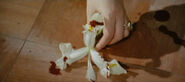 An iris covered in Adam's blood, foreshadowing his murder
