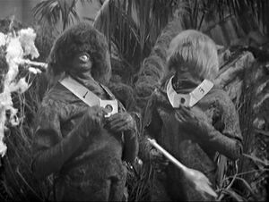 Monoids.jpg