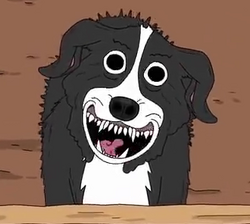 Attempt at drawing my favorite evil dog, Mr. Pickles : r/adultswim