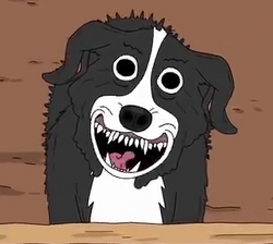 Mr. Pickles, the Evil Border Collie, Hails Satan This April - Bloody  Disgusting