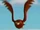 Falcon (Madagascar)