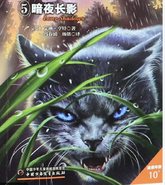 Ashfur on the Chinese cover of Long Shadows
