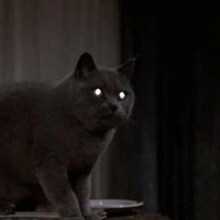 Church Stephen King Villains Wiki Fandom