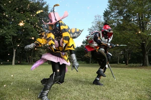 Insect Gamma 2.jpg (626 KB) The Insect Gamma fighting Ghost.