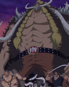 Jaki, One Piece Wiki