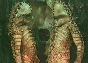 Zygons