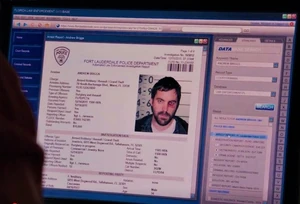 Andrew's police report and mugshot.