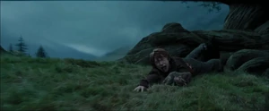Harry-potter3-movie-screencaps.com-10521.jpg (215 KB) Pettigrew and Ron being dragged by Sirius Black into the Whomping Willow.