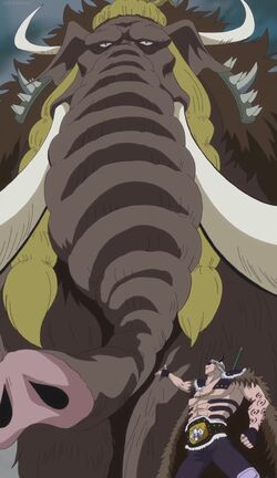 Jack One Piece Villains Wiki Fandom Jack One Piece Villains Wiki Fandom
