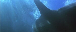 Jaws2-movie-screencaps com-2443