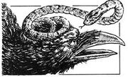 Korvusskurr.jpg