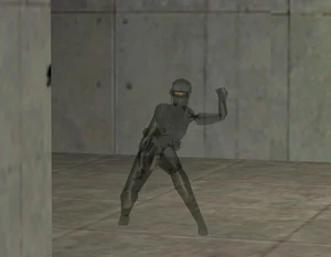 A Female Assassin who is partially invisible.