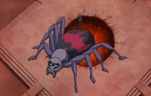 Spider