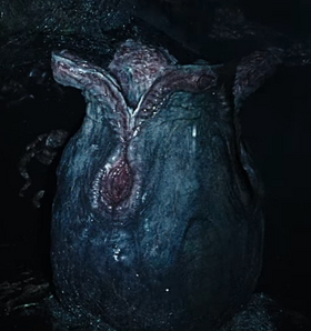 Praetomorph Egg