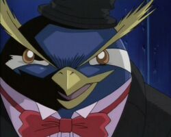 Crump nightmare penguin