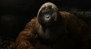 King Louie (2016) | Villains Wiki | Fandom