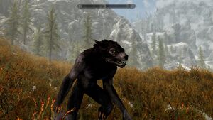 The Dragonborn in his werewolf form.