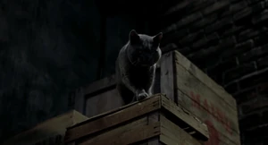 (Snowbell: No, I can't eat him 'cause he's a member of the family.) "A mouse with a pet cat?" (Monty: Isn't that funny?)