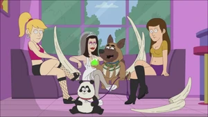 Bullet after first buying the Panda.