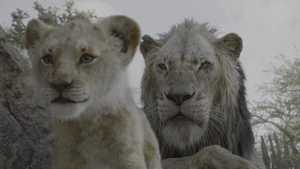 Scar exasperated by Simba's arrogance