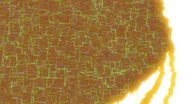 Tropiamon is finally defeated.jpg (251 KB) Tropiamon's death.