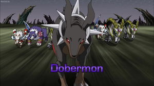 Dobermon in Digimon Fusion