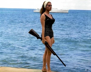 Fiona swimsuit.jpg (41 KB)