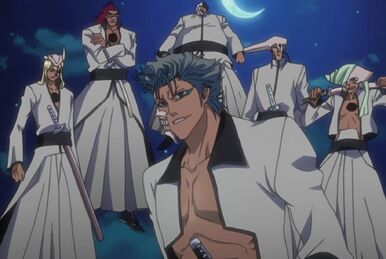 Bleach: 10 Facts You Didn't Know About Ulquiorra Cifer, The Espada Of  Emptiness