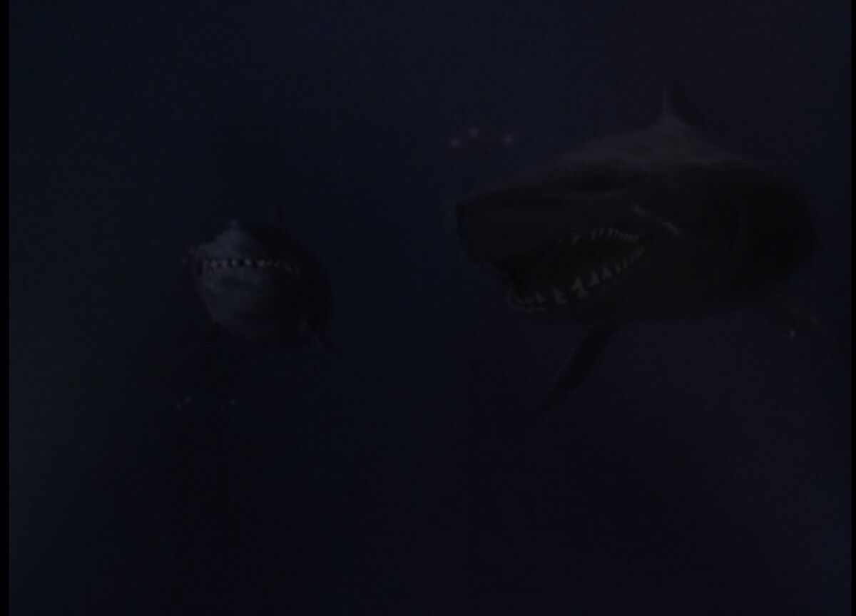 Great White Sharks (Dark Waters) | Villains Wiki | Fandom