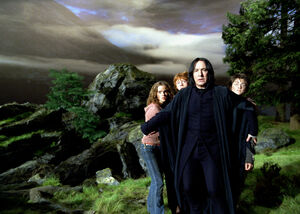 Snape protects his students