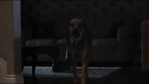 The McCoys' dog, Shadow, afflicted by the curse from the clown nose he ate