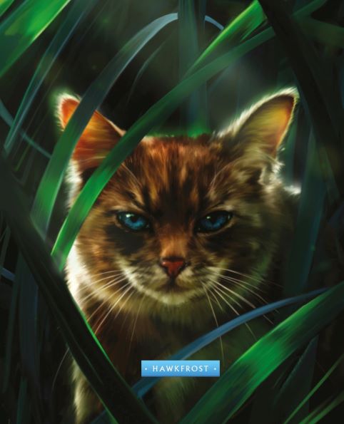 Absolutely losing my mind at this pixel art of Hawkfrost from the Warriors  Wiki : r/WarriorCats